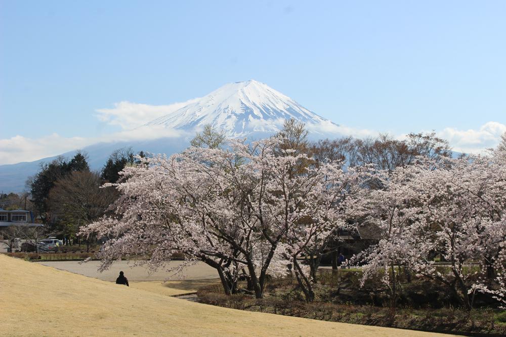 【4月】富士山周辺のおすすめの服装と写真ギャラリー