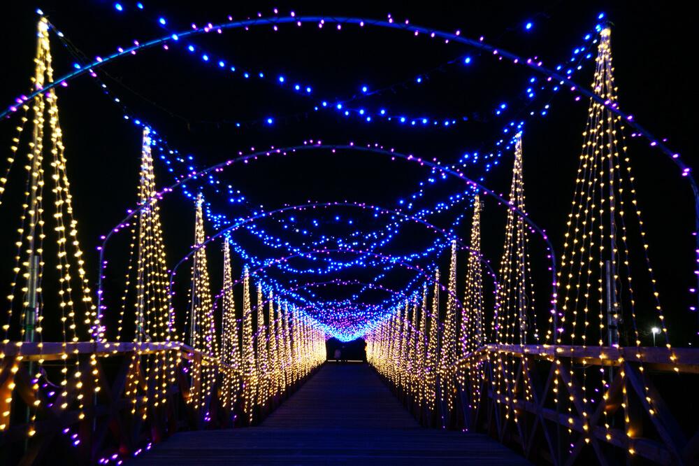 河口湖周辺のイルミネーション！冬のイベントを満喫しよう