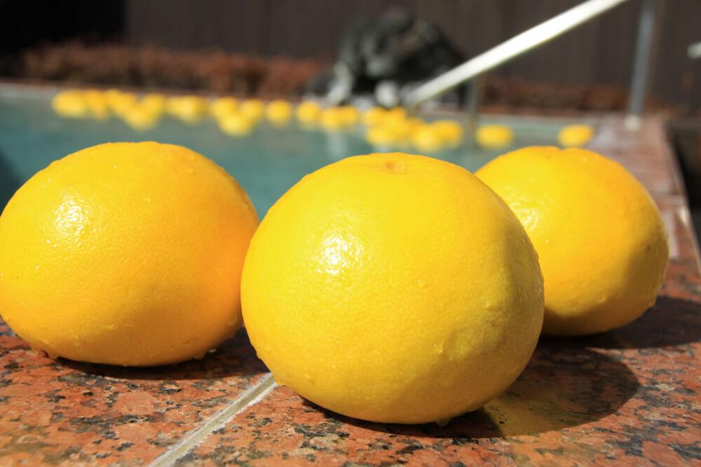 毎月26日は２６（風呂）の日！富士山の絶景と天然温泉で心も体もリフレッシュ！