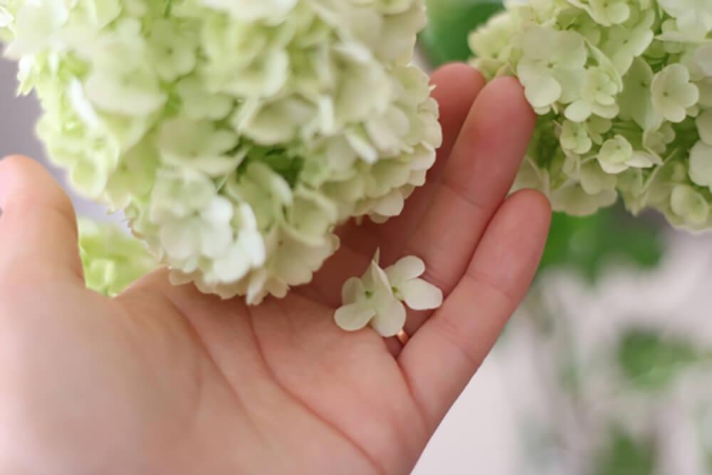 富士に誓う愛。恋人の聖地