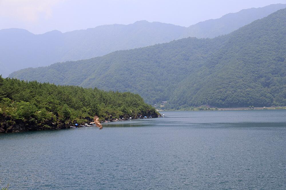 富士五湖の歩き方　西湖編（夏）