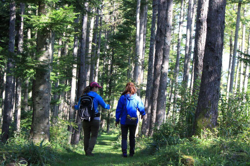 富士山周辺で秋のトレッキングを楽しもう！