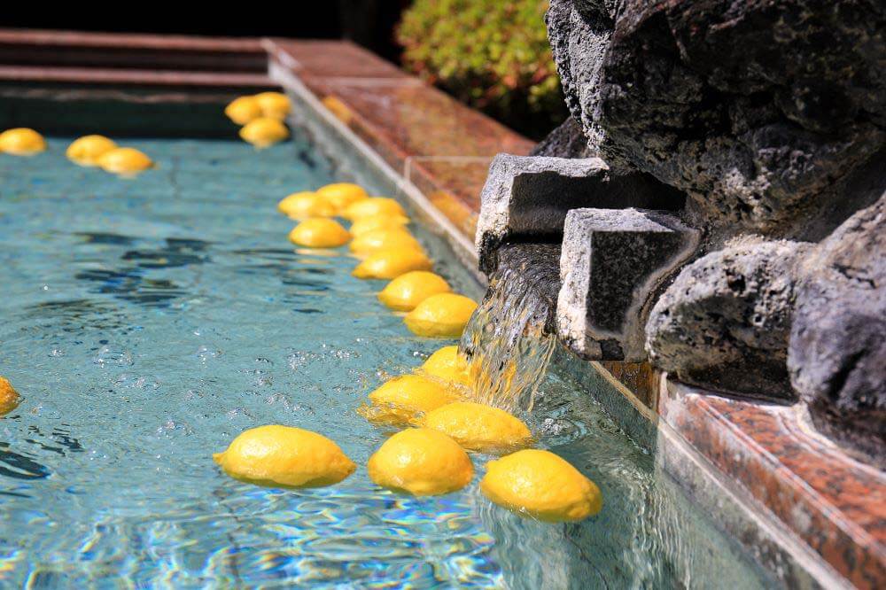 毎月26日は26（ふろ）の日！6月は「レモンの湯」爽やかな香りでリラックス