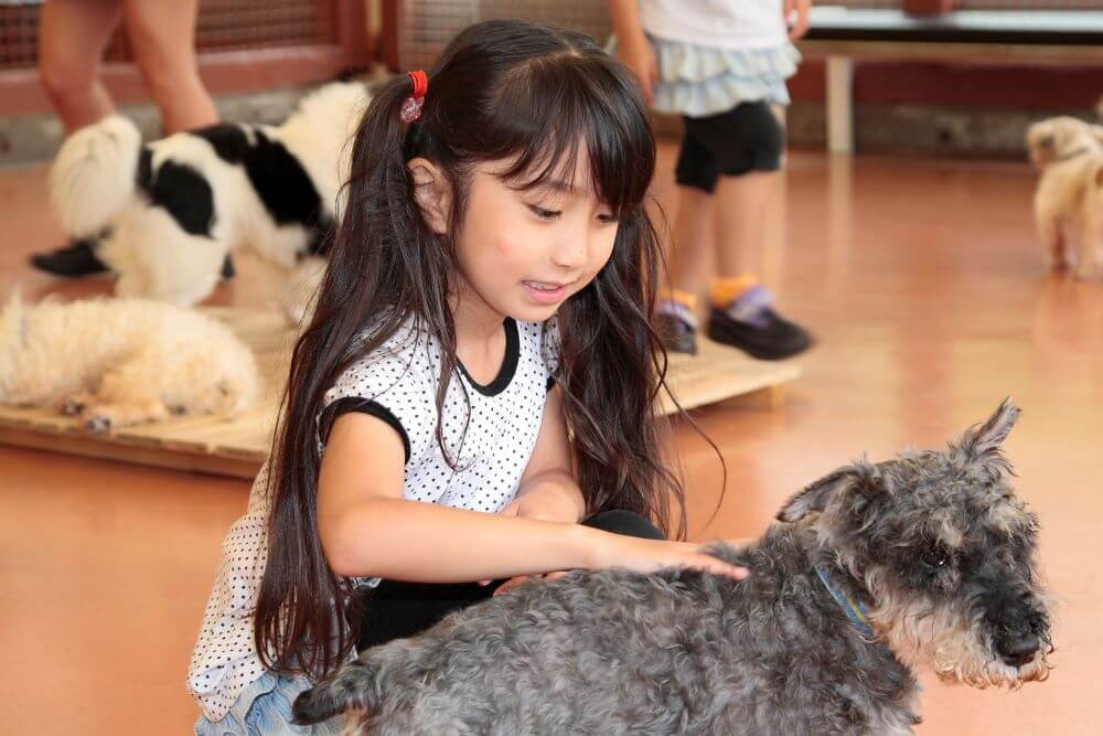 愛犬と一緒に河口湖を観光しよう！ペットOKのおすすめ施設を紹介