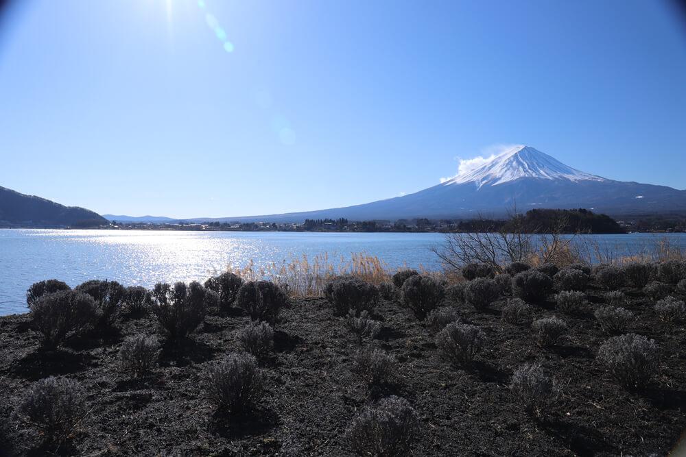 富士山・河口湖で春休み日帰り観光を満喫