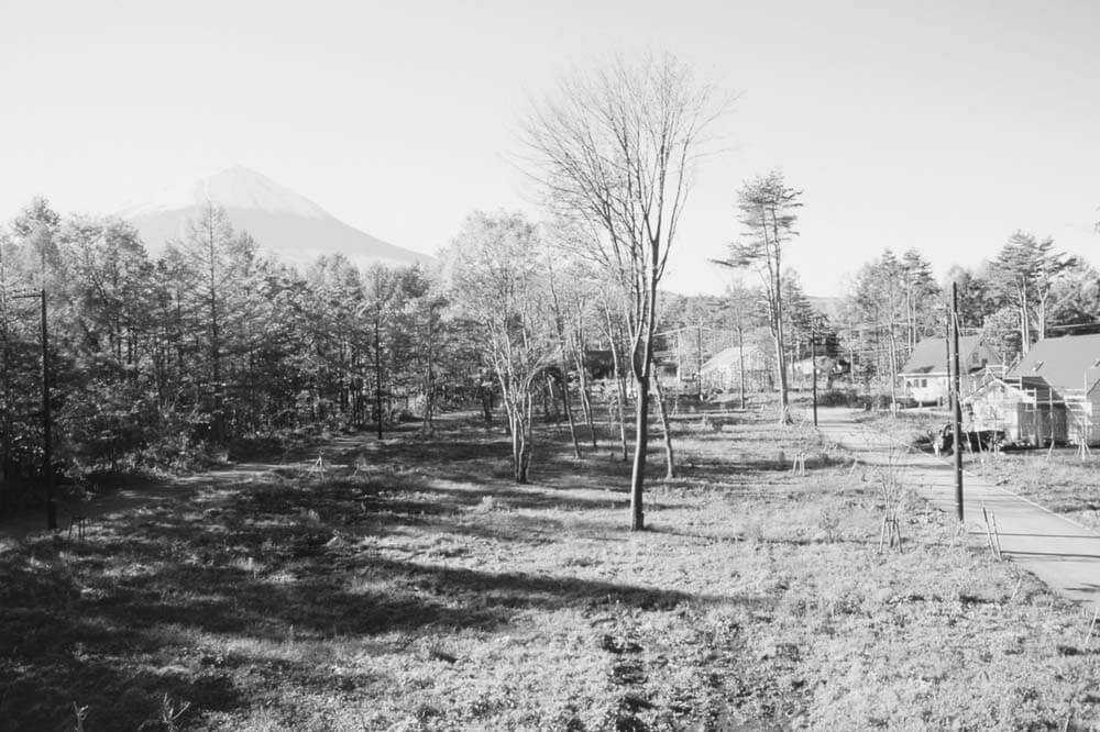 河口湖からの絶景富士山　昭和～平成
