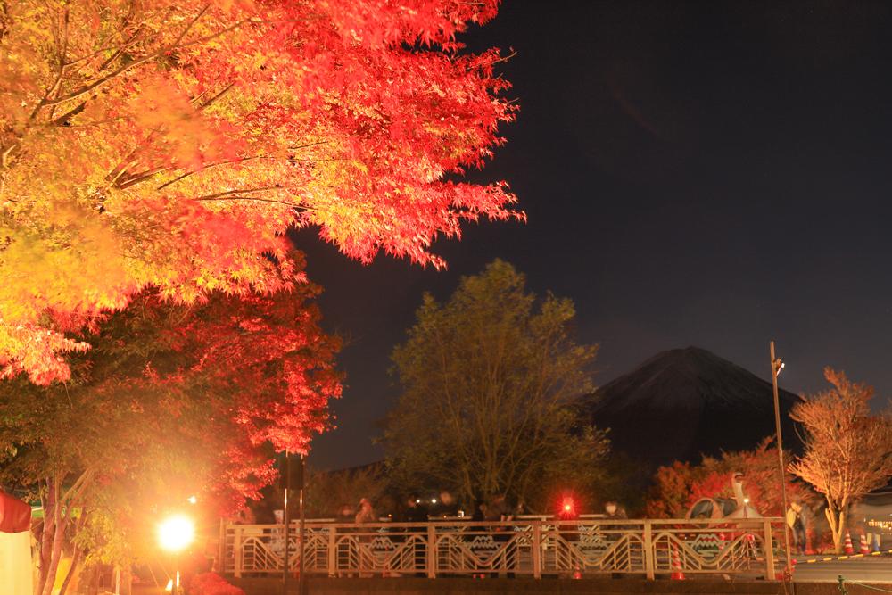 富士五湖の秋のイベント【2023年9月~11月】